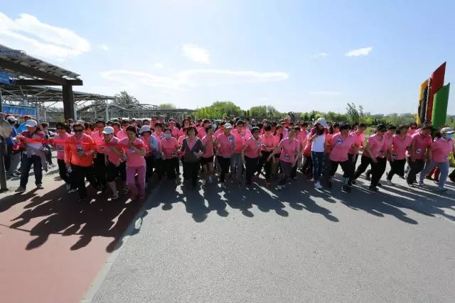 公司本部举办第五届职工健走跑比赛7.jpg